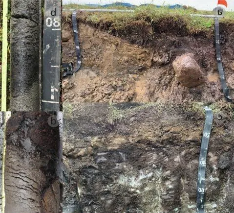 Presion del agua intersticial de los suelos