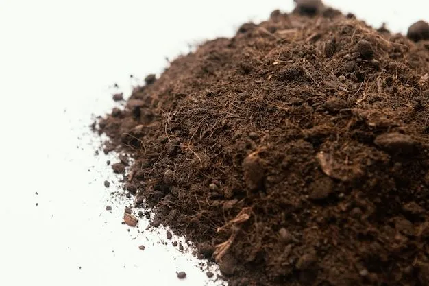 Composición del Suelo