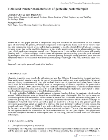Más sobre Características de Transferencia de Carga en Campo de Micropilotes Reforzados con Geotextil