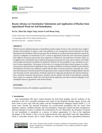 Más sobre Remediación de Suelos en Geotecnia: una Guía para Diseñadores